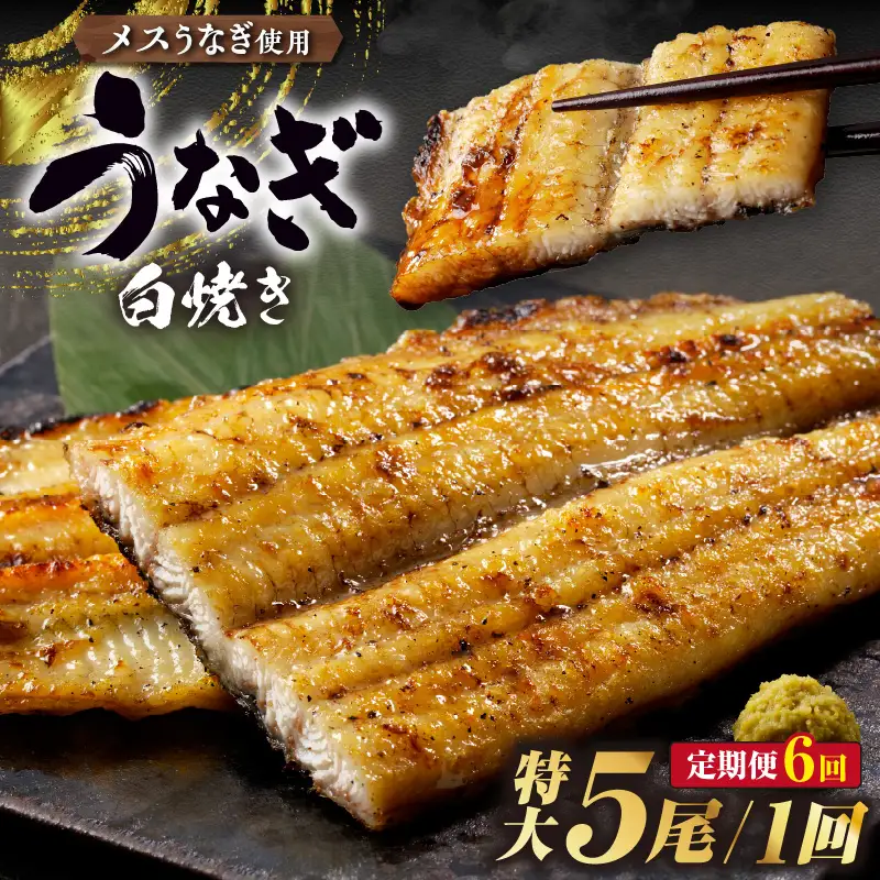 【定期便6ヶ月】三河高浜産三代目養鰻家の白焼きうなぎ 特大5尾_74-527