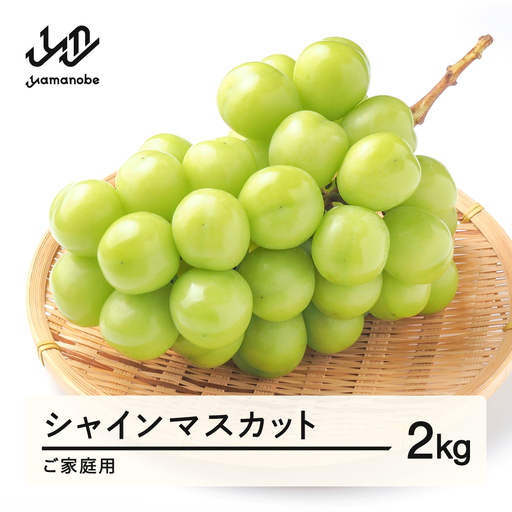 《先行予約》2026年 山形県産 シャインマスカット 葡萄  ご家庭用 2kg  ※沖縄・離島への配送不可 ts-busxk2000