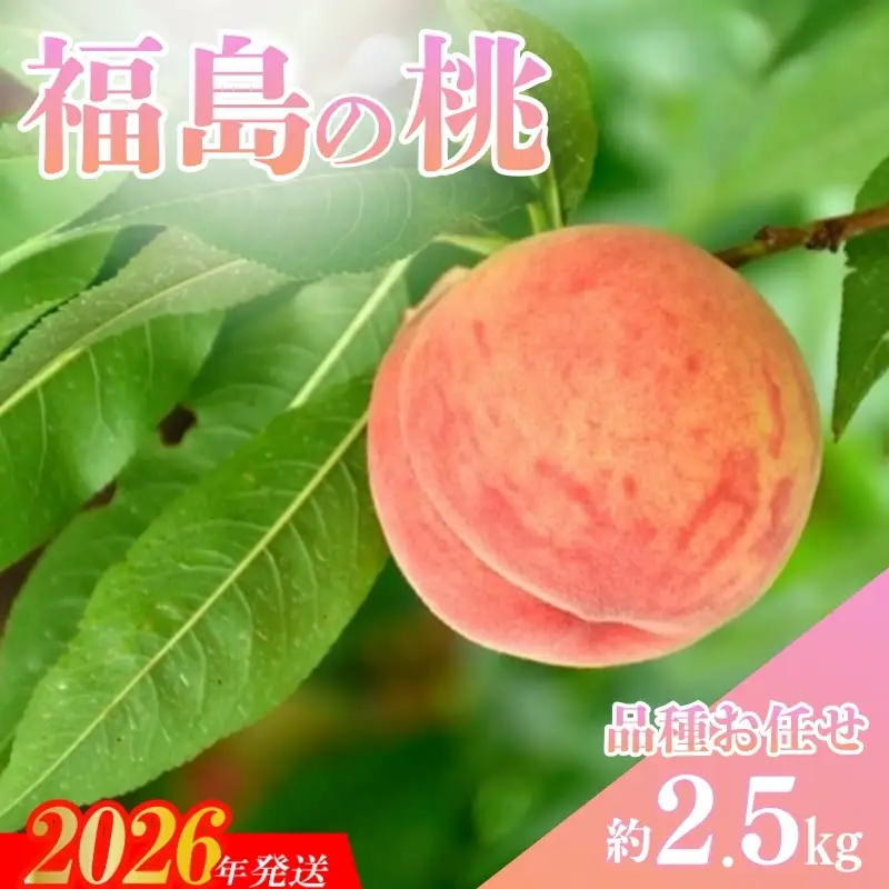 No.3346 福島の桃 品種お任せ 約2.5kg(8～10玉)【2026年発送】
