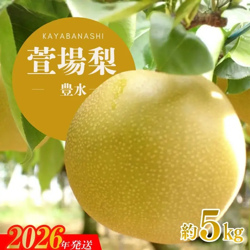 No.3347 萱場梨 豊水 約5kg（10～16個）【2026年発送】