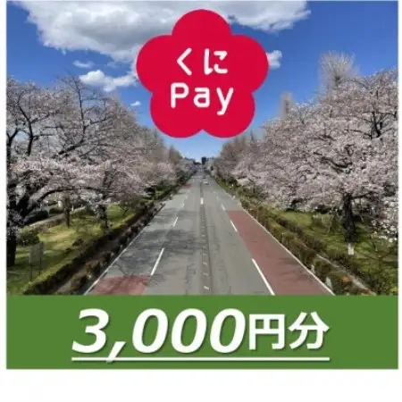 国立市デジタル地域通貨『くにPay』3,000ポイント【1582539】