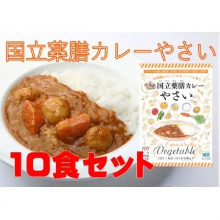 30種のスパイスを使用　国立薬膳カレーやさい　200g×10食セット　小麦粉・ラード不使用【1584735】