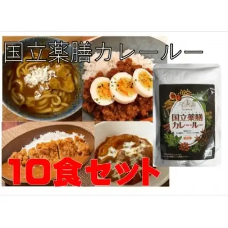 30種のスパイスを使用　国立薬膳カレールー　300g×10パックセット　小麦粉・ラード不使用【1584743】