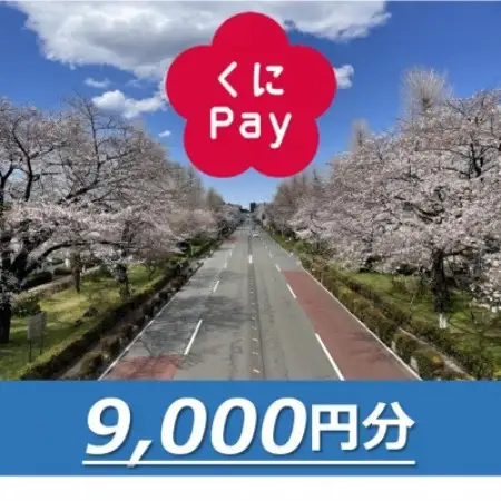 国立市デジタル地域通貨『くにPay』9,000ポイント【1587149】