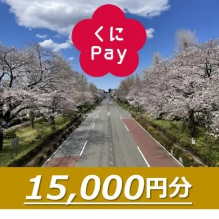 国立市デジタル地域通貨『くにPay』15,000ポイント【1587150】
