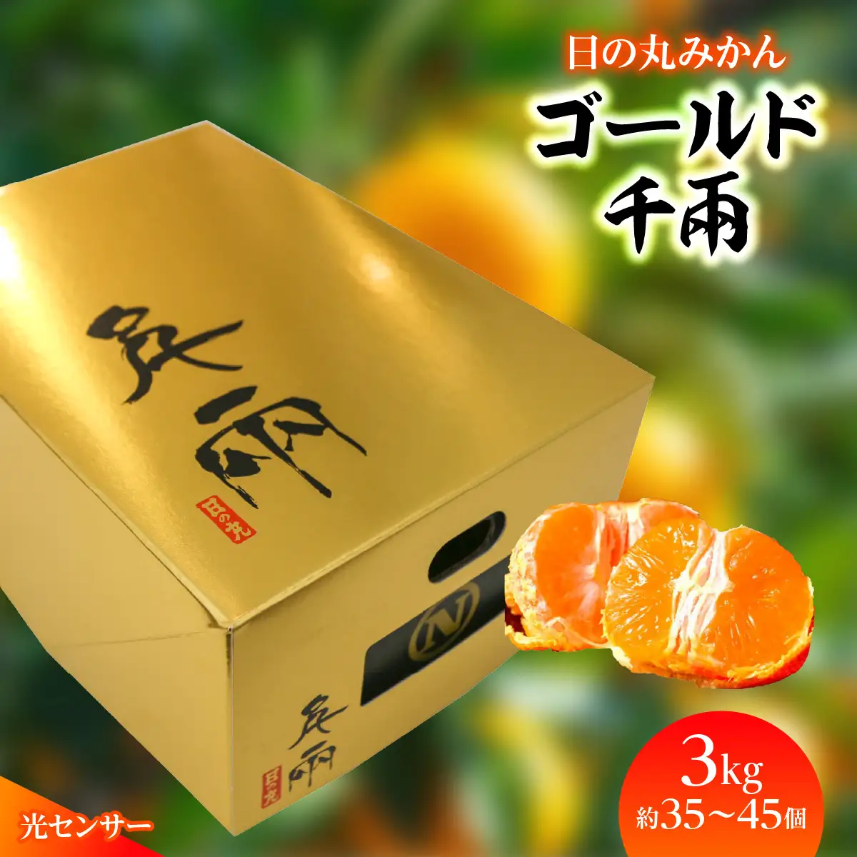 【先行受付】日の丸みかん「ゴールド千兩」3kg　サイズSまたは2S/約35～45個/光センサー【D79-4】【1452026】YWTC004