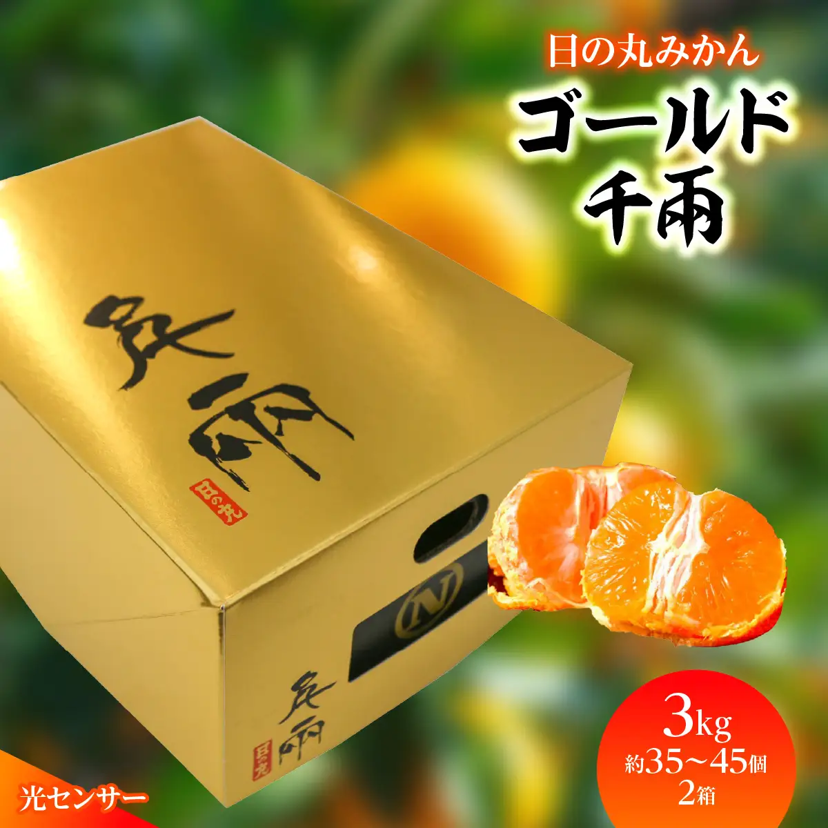 【先行受付】日の丸みかん「ゴールド千兩」3kgサイズSまたは2S/約35～45個/2箱/光センサー【F79-5】【1452027】YWTC005