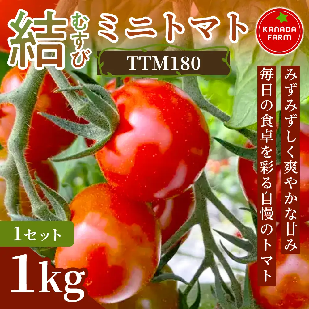 《先行予約》結（むすび）ミニトマト（TTM180）1kg 1セット 新鮮野菜 フルーツ 旬 サラダ デザート お弁当 朝食 料理用 そのまま食べる おうちごはん お取り寄せ みずみずしく爽やかな甘み 産地直送 贈り物 手土産 愛知県 豊橋市