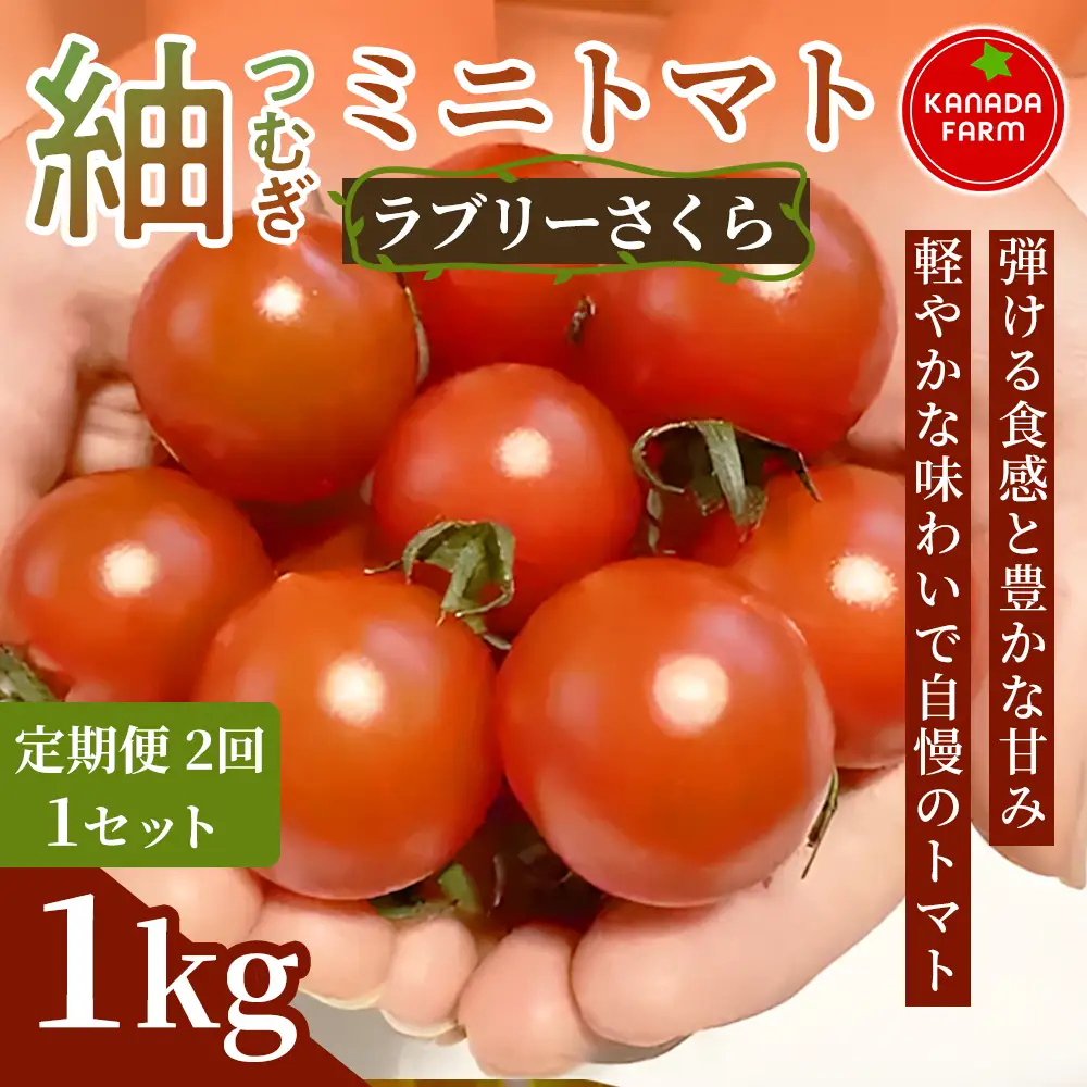 《先行予約》【定期便2ヶ月】紬（つむぎ）ミニトマト（ラブリーさくら）　1kg 定期便 弾ける食感と豊かな甘み 新鮮野菜 フルーツ 旬 サラダ デザート お弁当 朝食 料理用 そのまま食べる おうちごはん お取り寄せ 産地直送 贈り物 手土産 愛知県 豊橋市