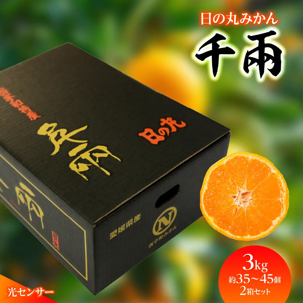 【先行受付】日の丸みかん「千兩」3kg　約35～45個/2箱セット/S・2Sサイズ/光センサー使用【D79-9】【1452042】YWTC009