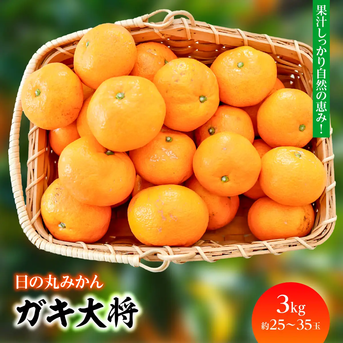【先行受付】果汁しっかり自然の恵み!「ガキ大将」3kg(L/Mサイズ)/日の丸みかん/ご家庭用【C79-14】【1452037】YWTC014