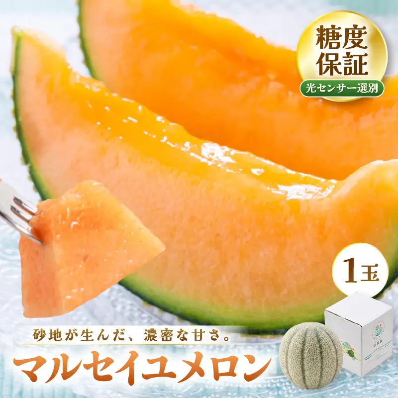 先行予約  マルセイユメロン (赤肉) 1玉 糖度15度以上 2027年6月上旬以降順次発送予定 [A-22105]