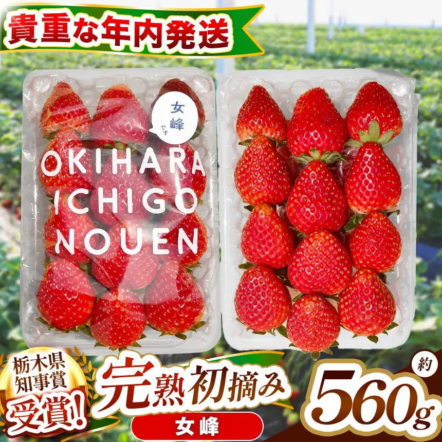 【先行予約】[数量限定] 貴重な12月発送！伝統の「初摘み女峰」 280g×2P
