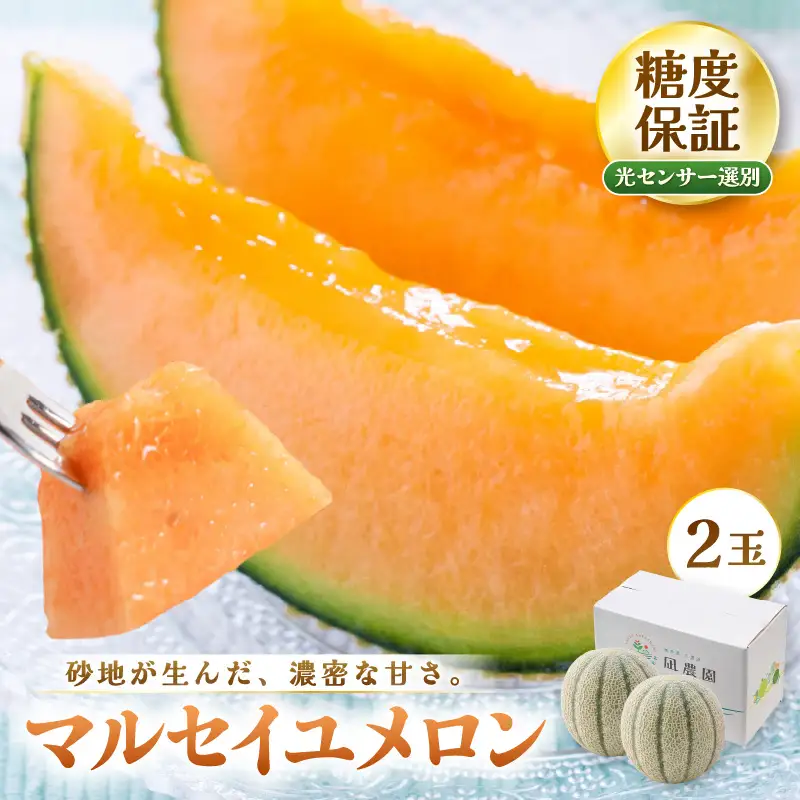 先行予約  マルセイユメロン (赤肉) 2玉 糖度15度以上 2027年6月上旬以降順次発送予定 [B-22101]