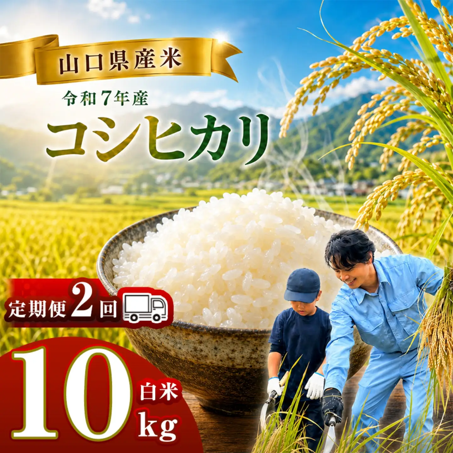 【 定期便 】 令和7年産 山口県産米 コシヒカリ 10kg 2回
