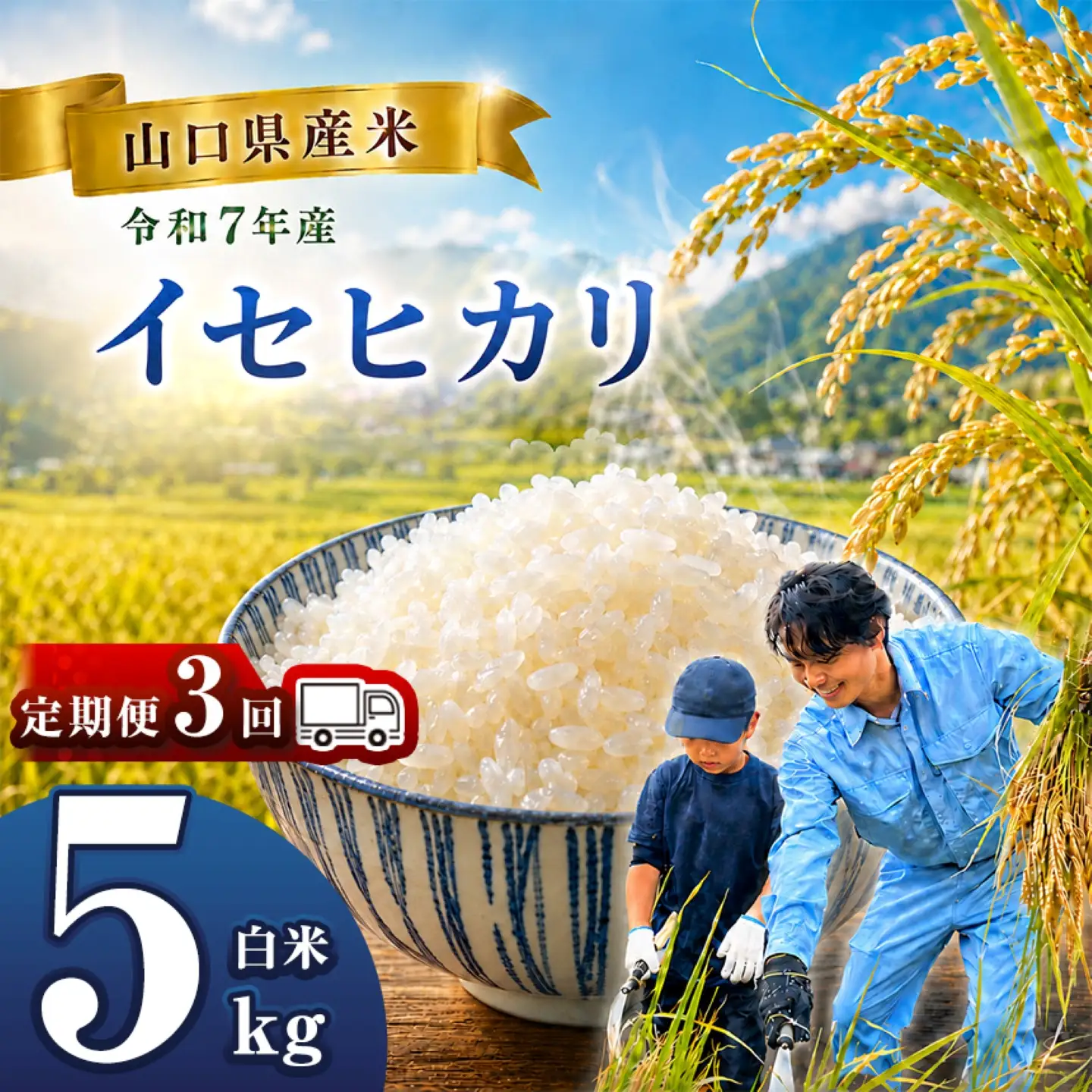 【 定期便 】 令和7年産 山口県産米 イセヒカリ 5kg 3回