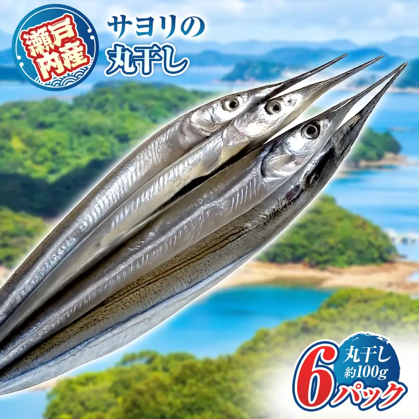 瀬戸内 海 産 サヨリ 丸干し 600 g（ 赤穂 の 塩 使用 ）