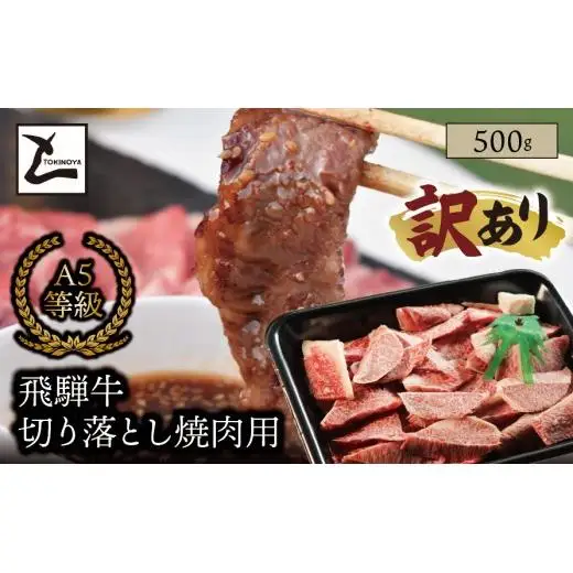 【訳あり】A5 飛騨牛 切り落とし 焼肉用 500g｜岐阜県産 国産 黒毛和牛 ブランド牛 霜降り 不揃い 冷凍 贅沢 高級肉 おすすめ 人気 トキノ屋食品