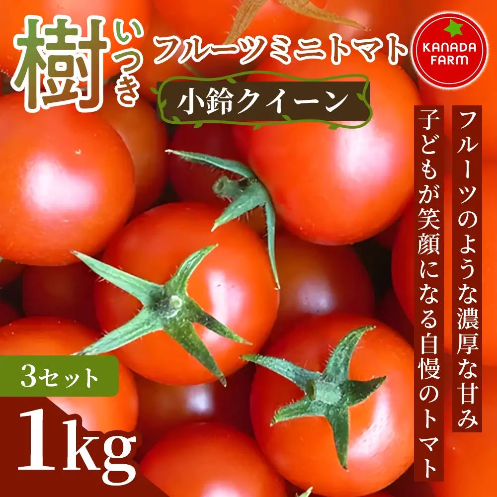《先行予約》樹（いつき）フルーツミニトマト（小鈴クイーン）1kg 3セット 甘い野菜 デザート感覚 おやつ スイーツ感覚 サラダ用 そのまま食べる 旬 フルーツのような濃厚な甘み 家庭用 贈り物 お取り寄せ 産地直送 愛知県 豊橋市