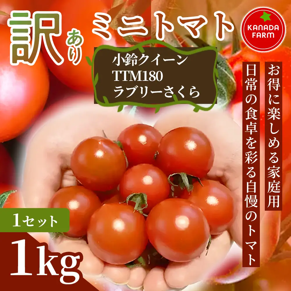 《先行予約》【お得に楽しめる家庭用】訳ありミニトマト 1㎏ 1セット 野菜 規格外 お買い得 自宅用 たっぷり まとめ買い 大容量 新鮮 旬 食材 お取り寄せ 愛知県 豊橋市