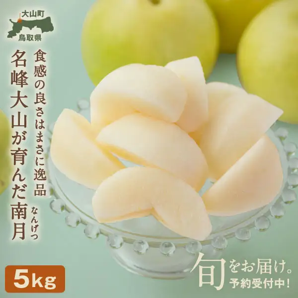 YN-05 南月梨5kg