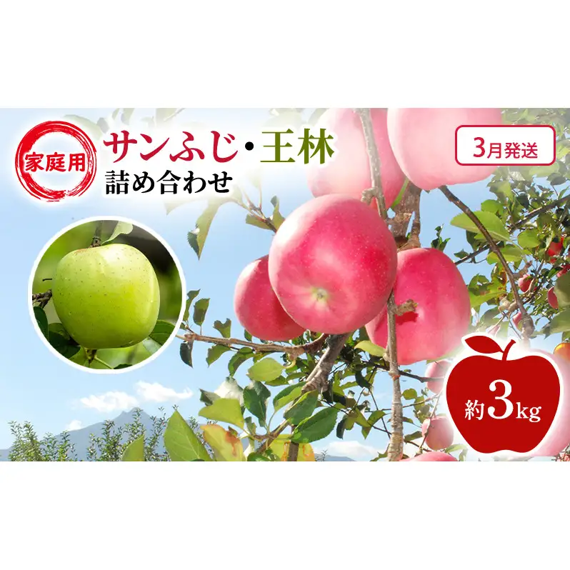 りんご詰合せ サンふじ王林家庭用 青森県産 りんご詰合せ【約3kg】【3月発送】