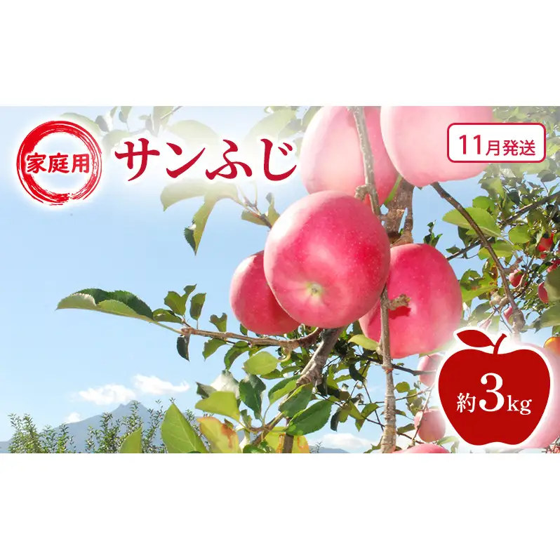 りんご サンふじ家庭用 青森県産 りんご【約3kg】【11月発送】