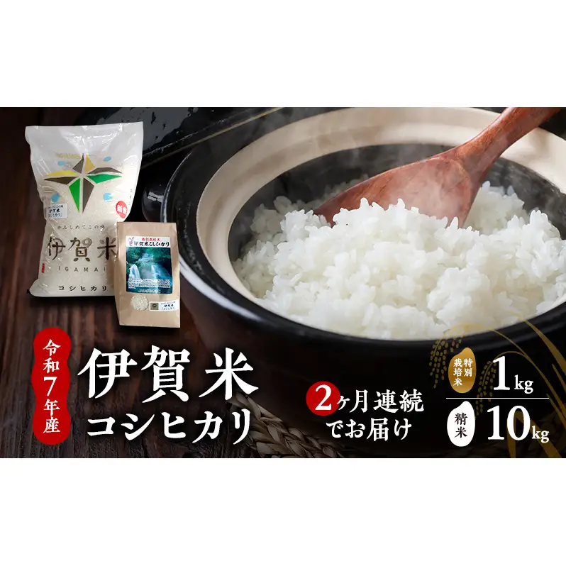 コシヒカリ 伊賀米 特別米 定期 2ヶ月 コシヒカリ