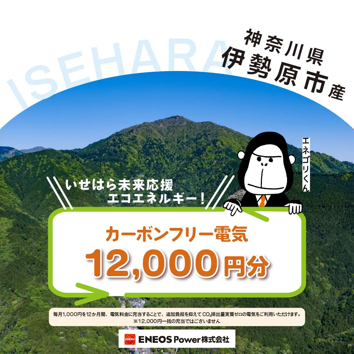 伊勢原市産 カーボンフリー電気 12,000円分【申込条件を要確認】※お1人様1口のみ [1095]