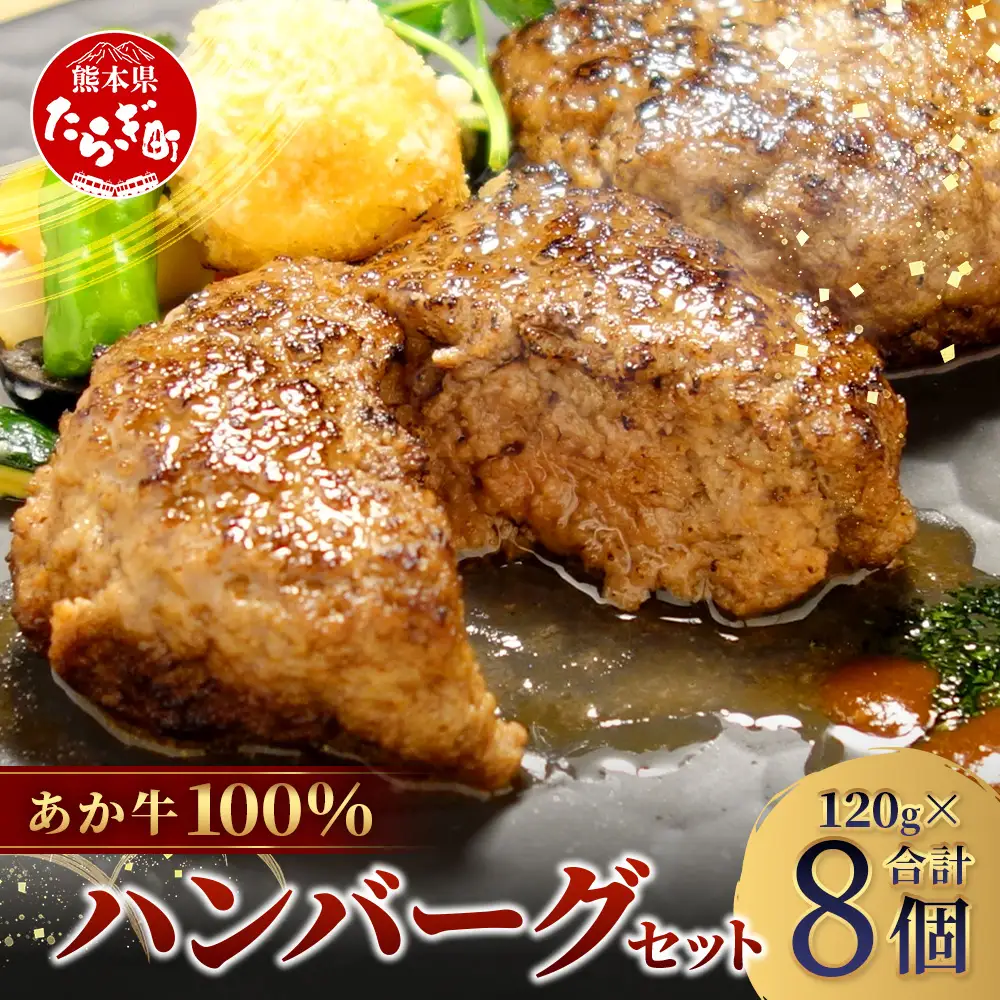 あか牛 100％ハンバーグ セット 120g×8個 (計960g) ハンバーグ あか牛 牛肉 肉 熊本産 国産牛 和牛 旨味 うま味 ぎっしり 熊本県 多良木町 牛肉 お試し ハンバーグ 046-0752