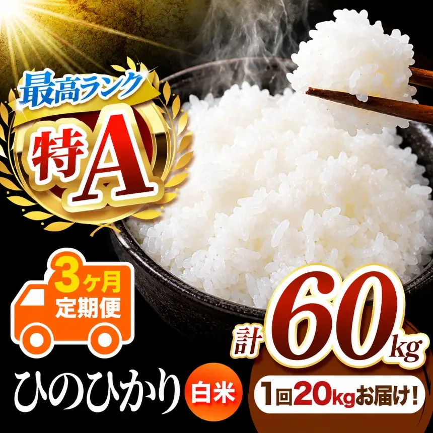 【 定期便 3回 】 熊本県産 白米 ひのひかり 20kg