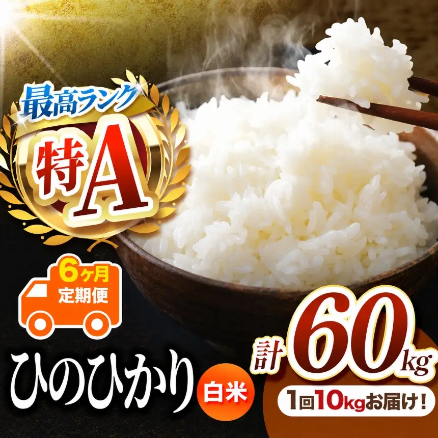 【 定期便 6回 】 熊本県産 白米 ひのひかり 10kg