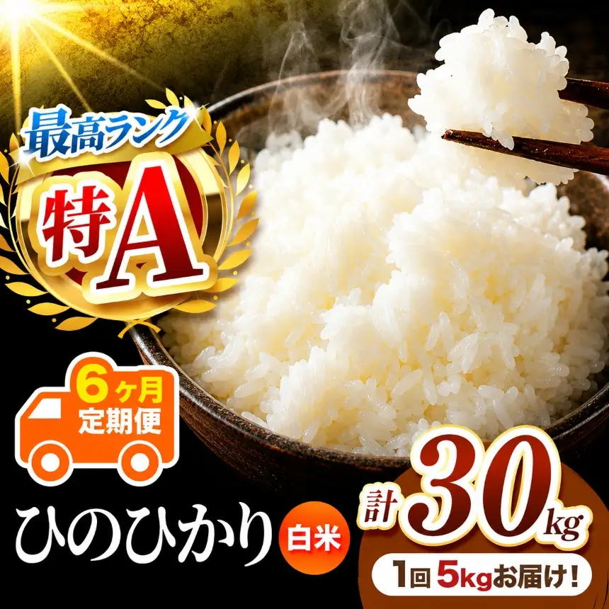 【 定期便 6回 】 熊本県産 白米 ひのひかり 5kg