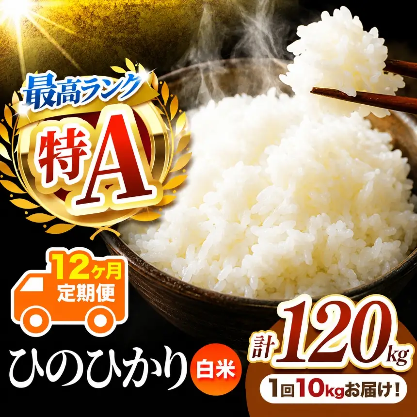 【 定期便 12回 】 熊本県産 白米 ひのひかり 10kg