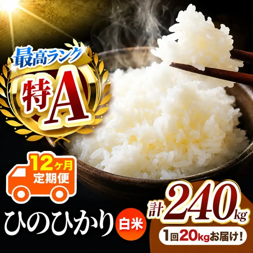 【 定期便 12回 】 熊本県産 白米 ひのひかり 20kg