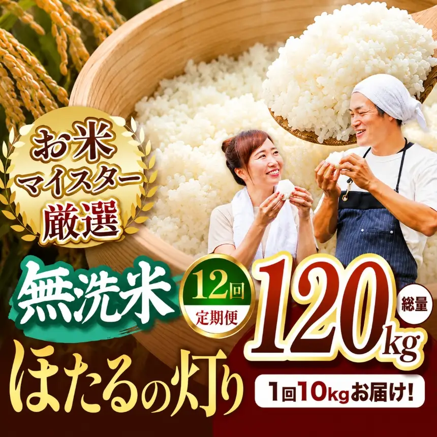 【定期便12回】熊本県産 無洗米 ほたるの灯り 10kg