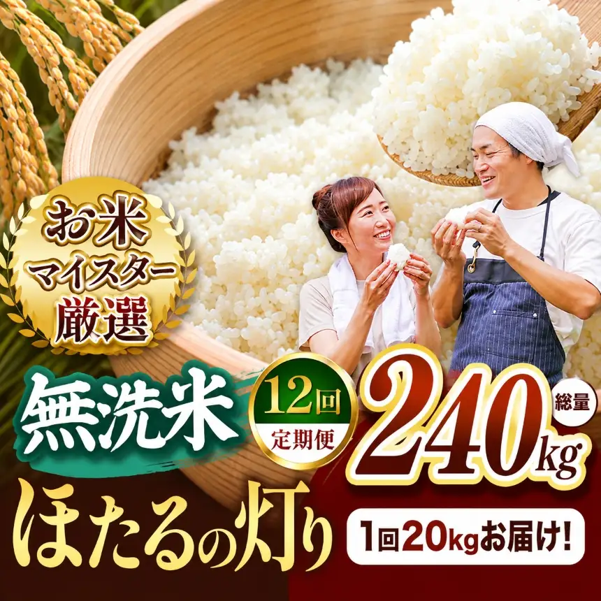 【定期便12回】熊本県産 無洗米 ほたるの灯り 20kg
