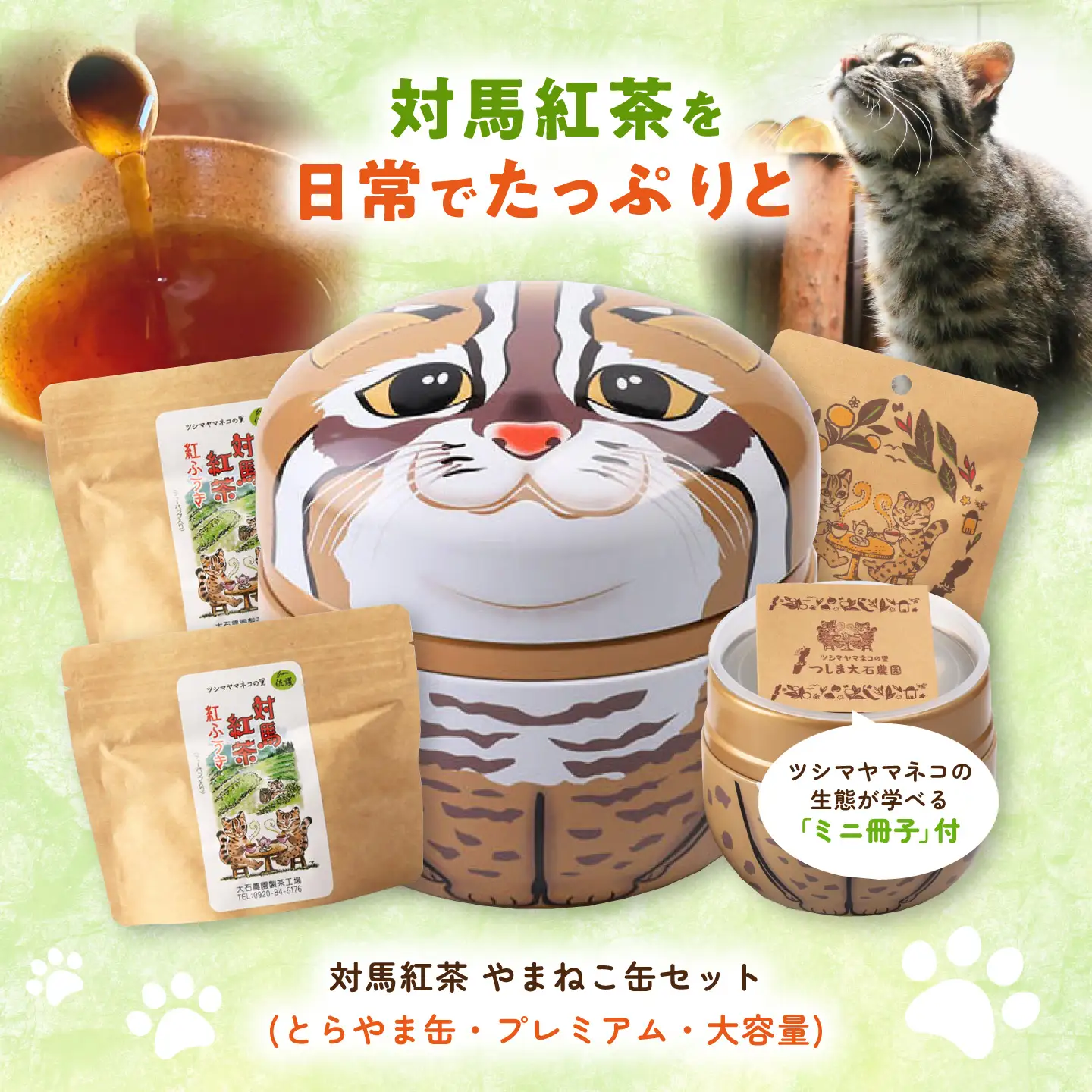 対馬紅茶 やまねこセット（とらやま缶・プレミアム・大容量） 《対馬市》 【つしま大石農園】 紅茶 ティー お茶 飲料 ツシマヤマネコ[WBE019]