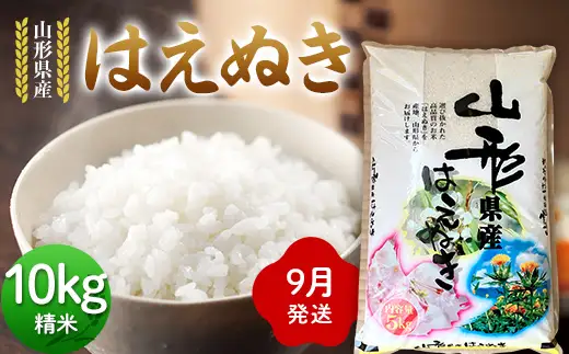 ≪2026年9月発送≫ 令和7年度 山形県産 はえぬき 10kg(5kg×2) 精米 白米 お米 米 米米 新米 ご飯 ごはん ブランド米 銘柄米 2025年産 令和7年度産 家庭用 自宅用 贈答用 お取り寄せ 食品 山形県 戸沢村  F7W-0292