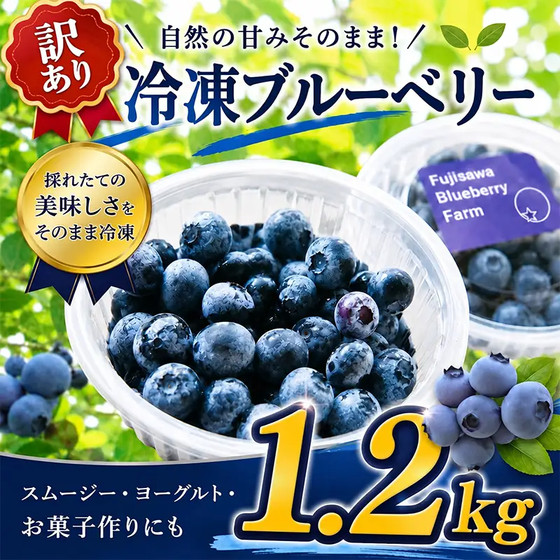 訳あり ブルーベリー 冷凍 1.2kg   blueberry