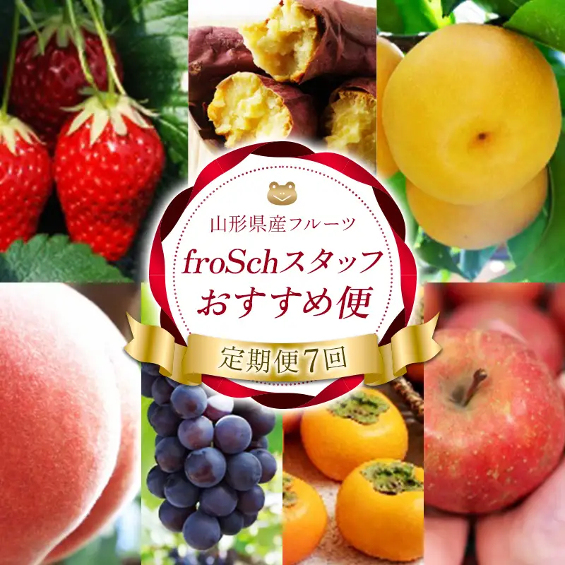 【定期便7回】 froSchスタッフ おすすめ便 FSY-2736