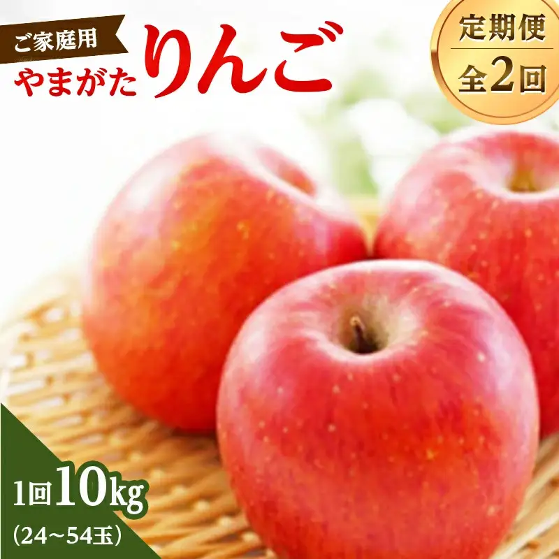 【ご家庭用】やまがたりんご定期便（全2回） FSY-2809