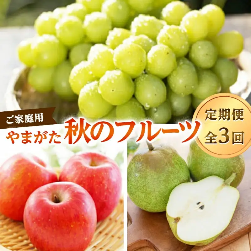 【ご家庭用】やまがた秋のフルーツ定期便（全3回） FSY-2810