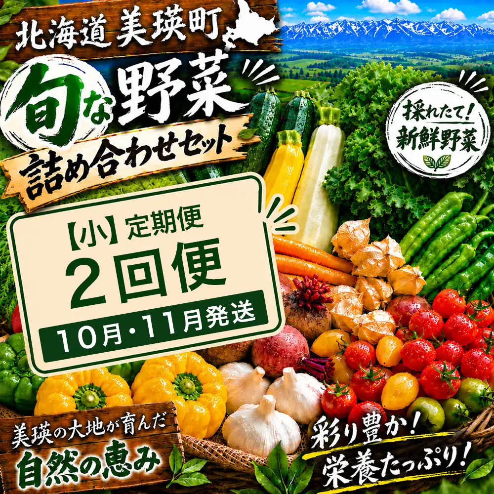 季節の野菜セット【小】定期便 2回便 10月 11月発送 旬野菜 詰め合わせ あらいふぁーむ