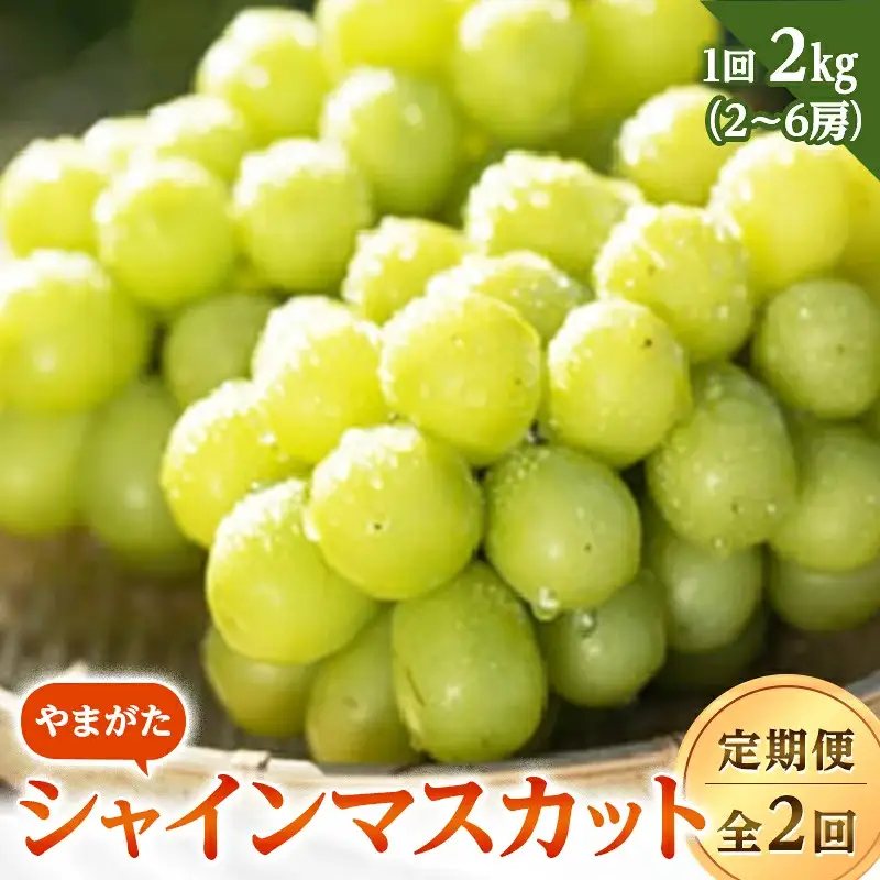 やまがたシャインマスカット定期便（全2回） FSY-2816
