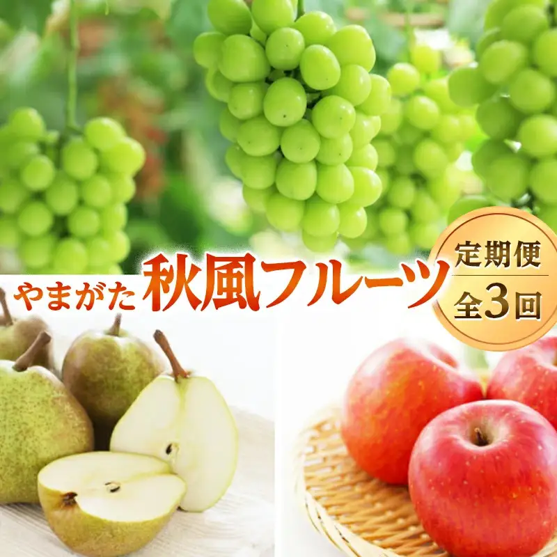 やまがた秋風フルーツ定期便（全3回） FSY-2820