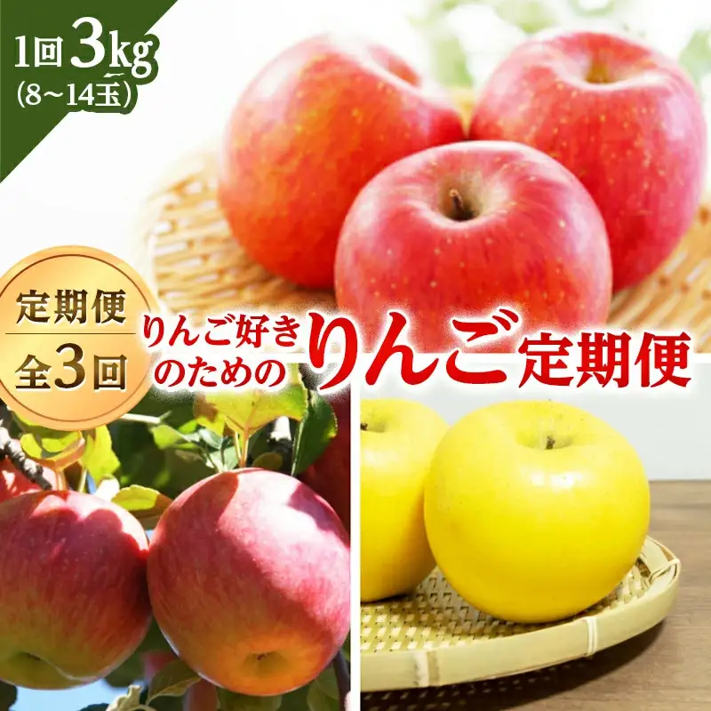 リンゴ好きのためのリンゴ定期便（全3回） FSY-2824