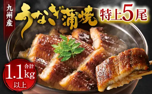 九州産 うなぎ 蒲焼 特上 5尾 計1.1kg以上 (1尾あたり220～235g)【2026年8月発送】