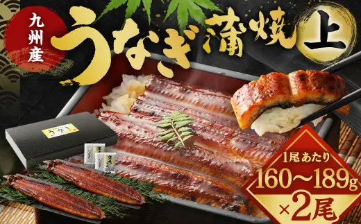 九州産 うなぎ 蒲焼 上 2尾 (1尾あたり160～189g)【2026年8月発送】