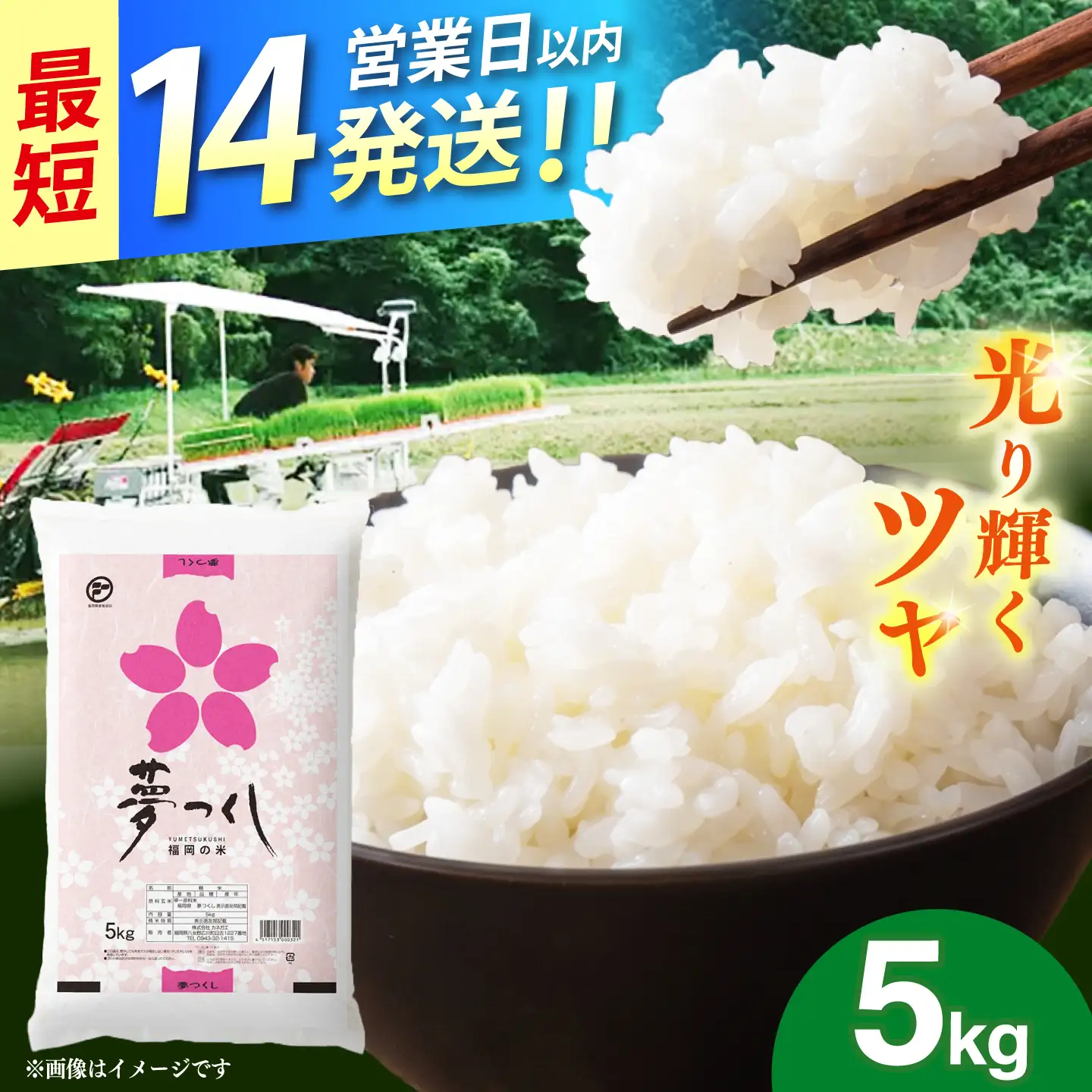 令和7年産　福岡県　夢つくし　5kg 《築上町》【カネガエ】[ABFA001]
